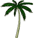 palme.gif (9847 bytes)